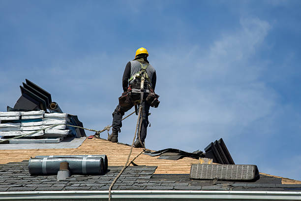 Professional Storm Damage Roof Repair technician working in Hernando, FL